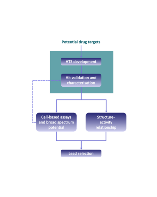 Schematischer Überblick über den Prozess der Wirkstoffentwicklung. Prozessabbildung zur Medikamentenentwicklung