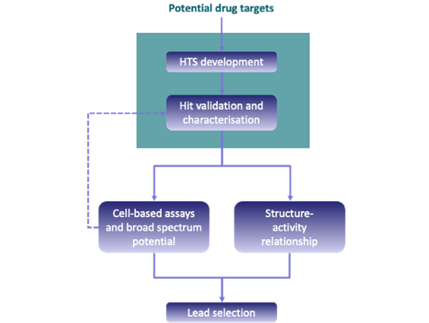 Schematic overview of the drug discovery process.