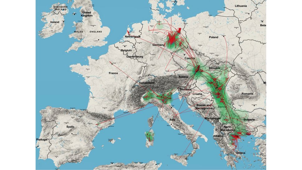 Die Grafik zeigt eine Europakarte, auf der in roten Linien die Verbreitungswege des West Nil-Virus eingezeichnet sind. Grün markierte Bereiche zeigen Regionen, in denen das Virus besonders aktiv war.