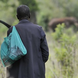 Das Foto zeigt einen kenianischen Ranger von hinten. In der Ferne einige Elefanten.