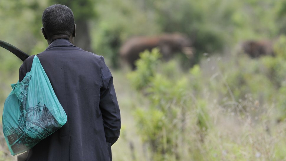 The photo shows one of the Kenian rangers and some elephants from far.