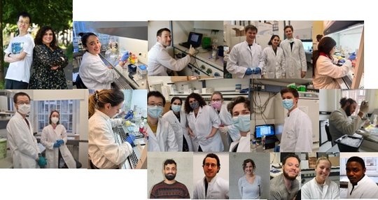 Group of scientists in the lab Serveral photos of researchs working and having fun in the laboratory
