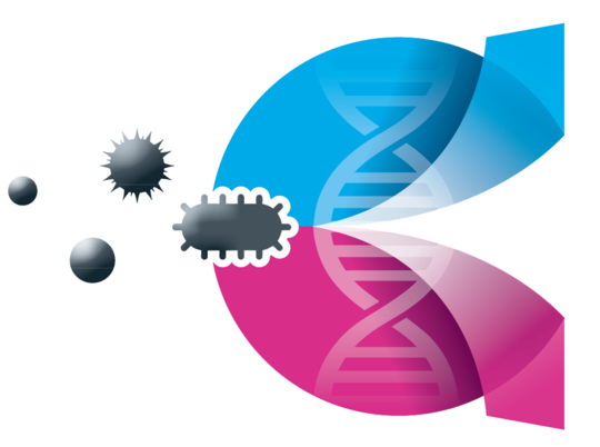 Logo der Forschungsgruppe „Geschlechtsspezifische Unterschiede in Immunantworten“ Hellblau-pinkes Logo