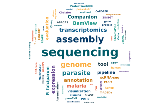 tools word cloud