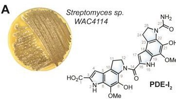 The image shows the chemical formula of the potential new malaria drug.