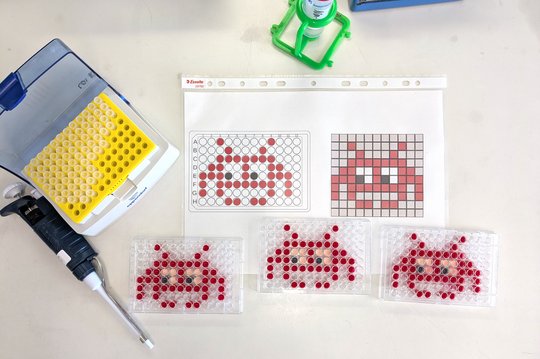 Ein Foto von drei 96-well-Platten, in denen ein rotes Comicgesicht pipettiert ist. Links liegen eine Pipette und ein Kasten mit Pipettenspitzen. Oben liegt eine Anleitung, in welche Wells der Platte die rote Flüssigkeit pipettiert werden soll.