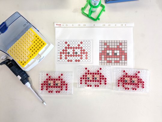 Ein Foto von drei 96-well-Platten, in denen ein rotes Comicgesicht pipettiert ist. Links liegen eine Pipette und ein Kasten mit Pipettenspitzen. Oben liegt eine Anleitung, in welche Wells der Platte die rote Flüssigkeit pipettiert werden soll.