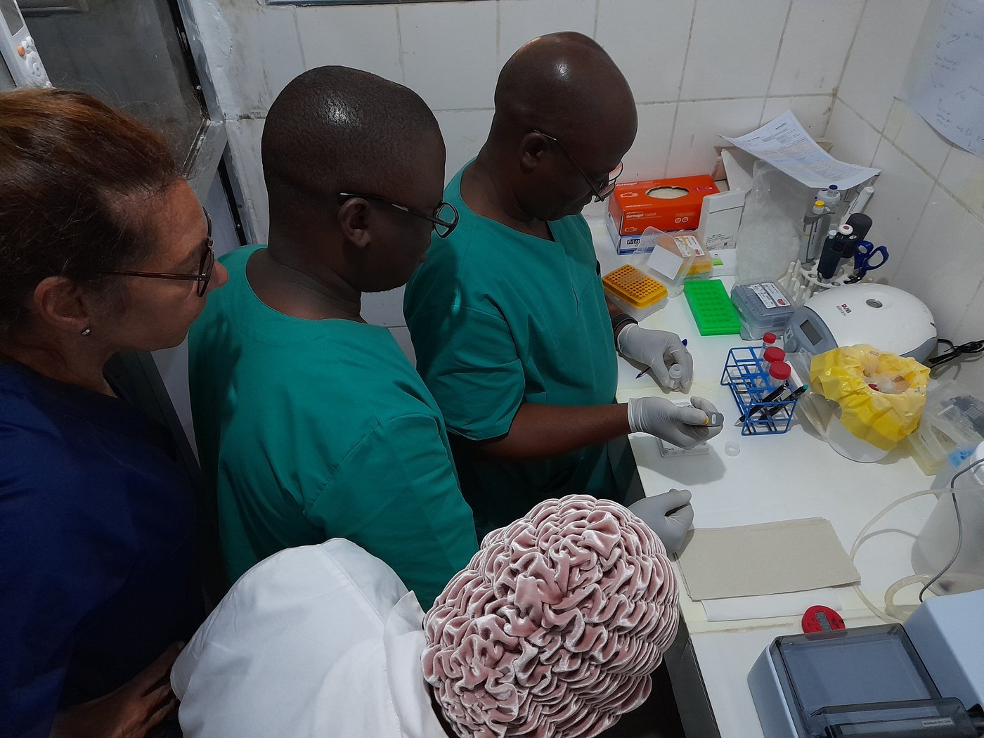 A laboratory scene in Guinea. One local lab staff is pipetting while the trainer and two others are observing.