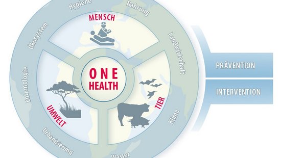 The blue-gray graphic shows a circle divided into one area each for humans, animals and the environment. Around it are the terms hygiene, nutrition, agriculture, climate, water, urbanization, entomology and ecosystem.