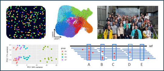 Collage featuring a dot plot, UMAP visualization, group photo of smiling people, a PCA scatter plot, and a schematic with colored dots.