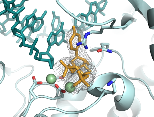 Bunte Grafik "Hochdetaillierte Einblicke in die Bindung von potenziellen Wirkstoffen an virale Proteine"