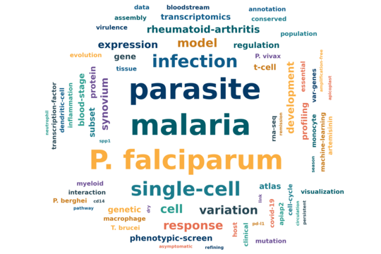 Last 5 years word cloud