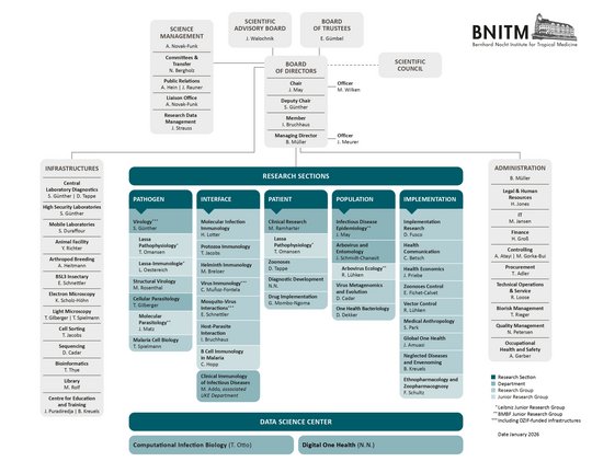 Organization Chart of BNITM