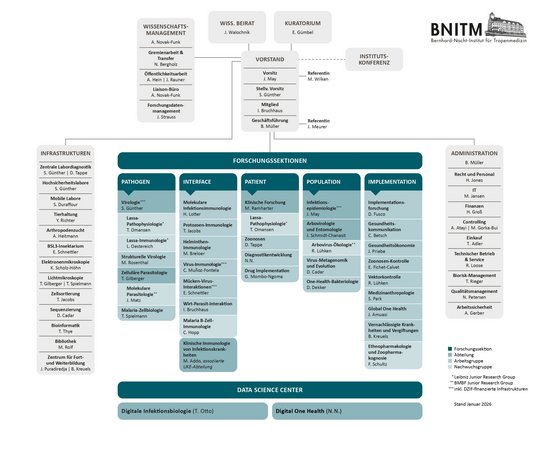 Grafik eines Organigramms