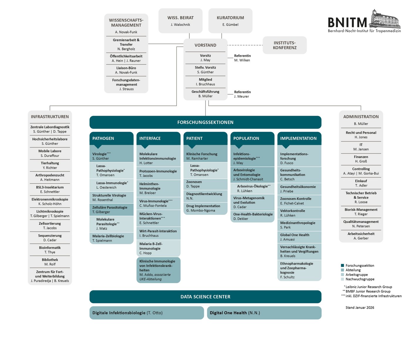 Grafik eines Organigramms