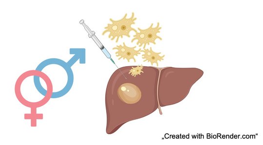Männliche und weibliche Unterschiede in der Amöbiasis Eine Übersicht über das weibliche und männliche Zeichen, daneben eine Leber mit Leberabszesse, eine Spritze und Entamoeba histolytica.