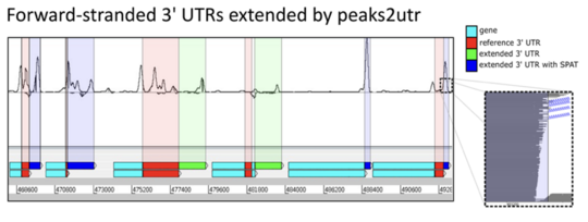 peaks2UTR