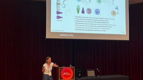 Presenting at the annual meeting of the American Association of Immunologists A woman stands at a podium giving a presentation with a scientific slide about ILC2 in S. ratti infection displayed on a large screen behind her.