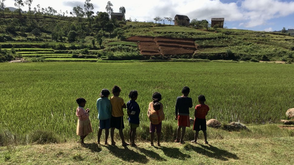 Das Foto zeigt eine Gruppe von sieben Kindern auf einem grünen Feld in Madagaskar.
