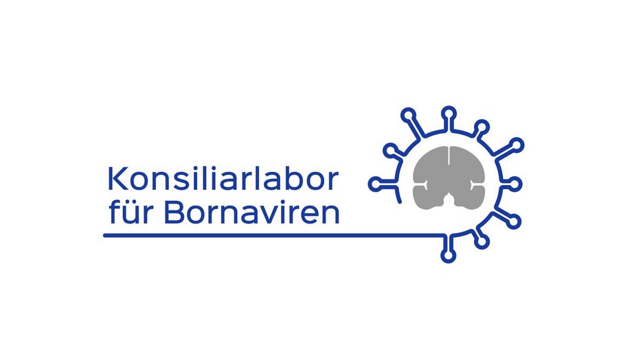 Logo Bornaviruses Consultant Laboratory: In the left part of the logo, the word Konsiliarlabor (Consultant Laboratory) is written in blue, and in a second row it stands for Bornaviruses. Below this is a blue line from which, in the right part of the image, a viral envelope wraps around the schematic grey representation of a brain.