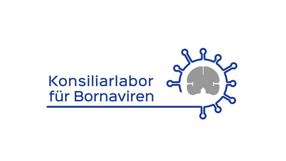 Logo Konsiliarlabor Bornaviren: Im linken Teil des Logos steht in blauer Schrift Konsiliarlabor, in einer zweiten Reihe für Bornaviren. Darunter eine blaue Linie, aus der sich im rechten Teil des Bildes eine Virushülle um die schematische graue Darstellung eines Gehirnes legt.