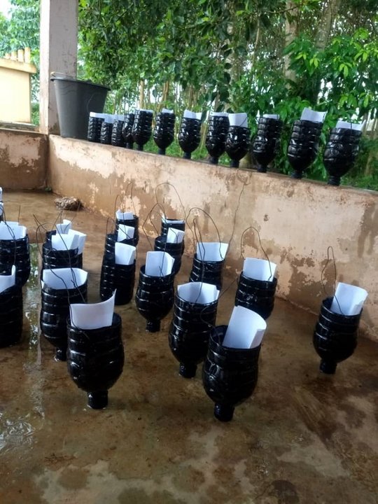 You can see various constructs made of half bottles standing on their necks, and at the top you can see paper peeking out.