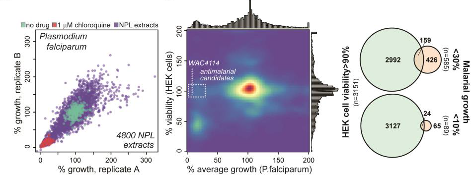 A screen of blood stage P. falciparum against a library of microbial NP extracts