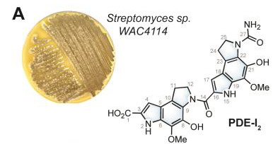 The image shows the chemical formula of the potential new malaria drug.