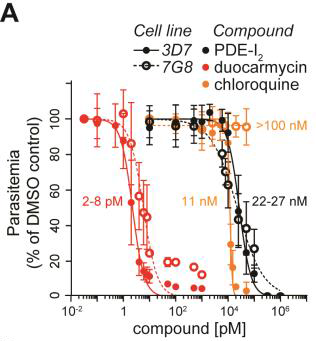 Figure on the effectiveness of PDE-I2.