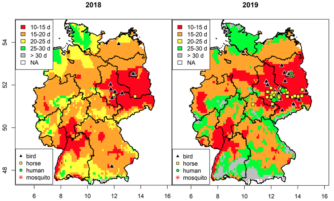 Die Grafik zeigt zwei bunte Karten von Deutschland, die das räumliche Risiko der Übertragung des West-Nil-Virus (WNV) in Deutschland 2018/ 2019 visualisieren.
