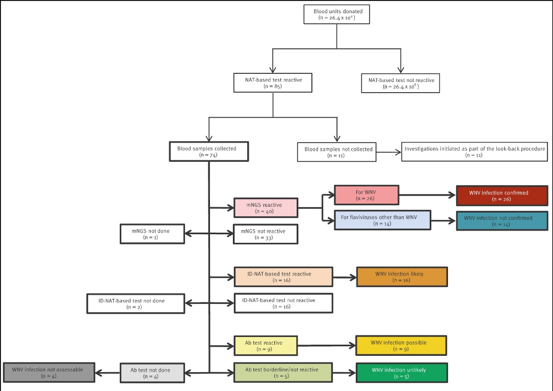 Bewertung des Zusammenhangs zwischen Blutspenden und West-Nil-Virus-Infektionen bei Blutspendern, Deutschland, 2020–2023 (n = 74) Die farbige Grafik symbolisiert die Bewertung des Zusammenhangs zwischen Blutspenden und West-Nil-Virus-Infektionen bei Blutspendern, Deutschland, 2020–2023 (n = 74).