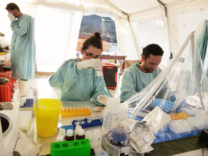 Work in the lab: Setup PCR Das Bild zeigt diverse Forscher in einer Laborsituation