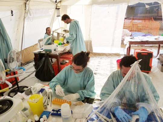 Mehrere Forscher beim arbeiten im mobilen Labor in einem Zelt-Pavillions.