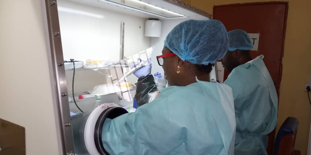 Researchers working with the glove box