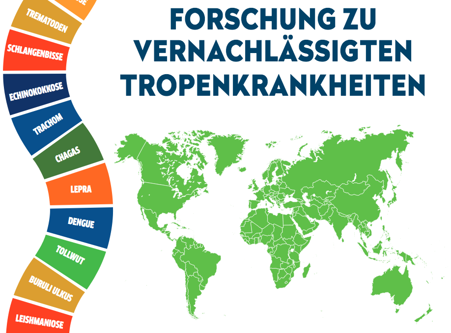 Die bunte Grafik listet die vernachlässigten Tropenkrankheiten auf. Dazu der Schriftzug "Forschung zu vernachlässigten Tropenkrankheiten".