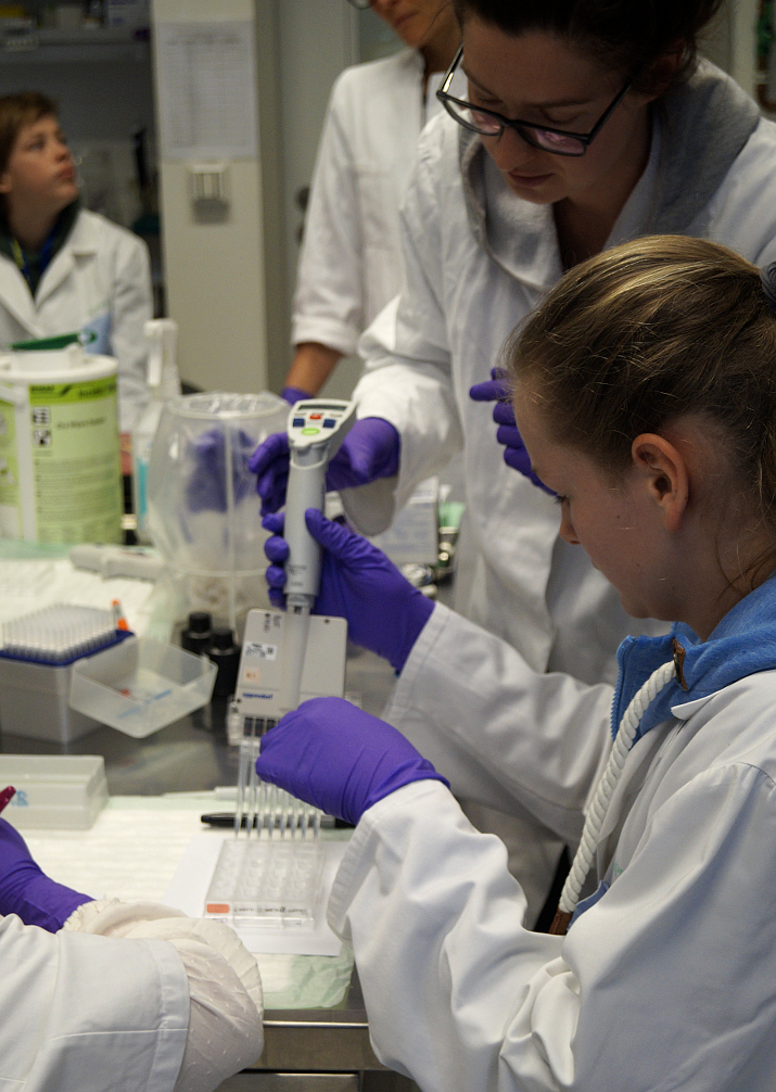 Eine Schülerin pipettiert eine Probe. Das Bild zeigt eine Schülerin beim "girls- and Boysday 2019" bei der "Laborarbeit".