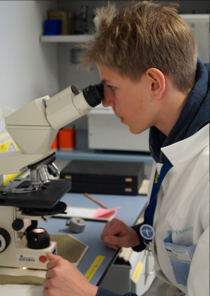 Ein Schüler untersucht eine Probe unter dem Mikroskop. Das Bild zeigt einen Schüler beim "girls- and Boysday 2019" beim Mikroskopieren.