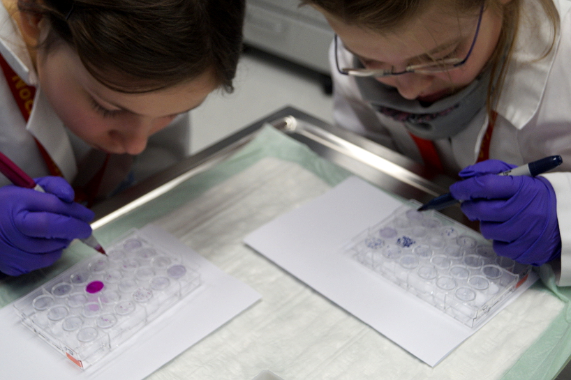 Zwei Schülerinnen werten eine Probe aus. Das Bild zeigt zwei Schülerinnen im Rahmen des "Girls- and Boys-Days 2019" bei der Laborarbeit.