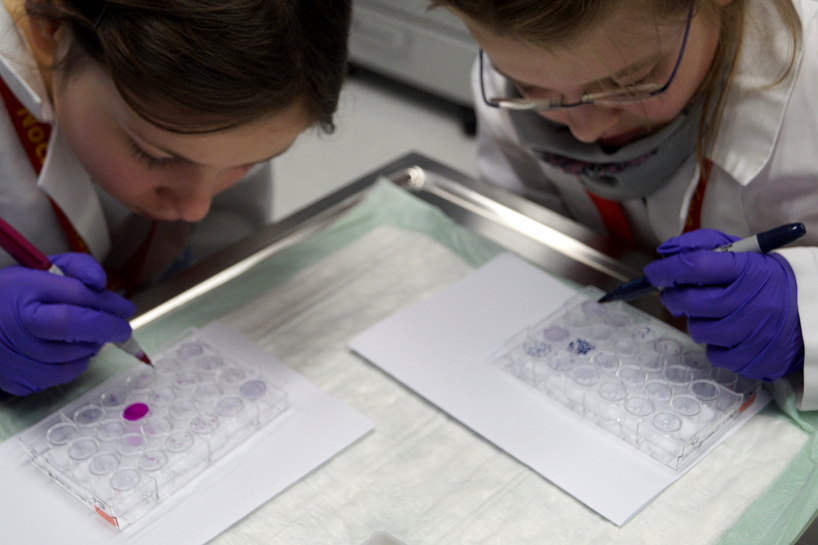 Das Bild zeigt zwei Schülerinnen im Rahmen des "Girls- and Boys-Days 2019" bei der Laborarbeit.