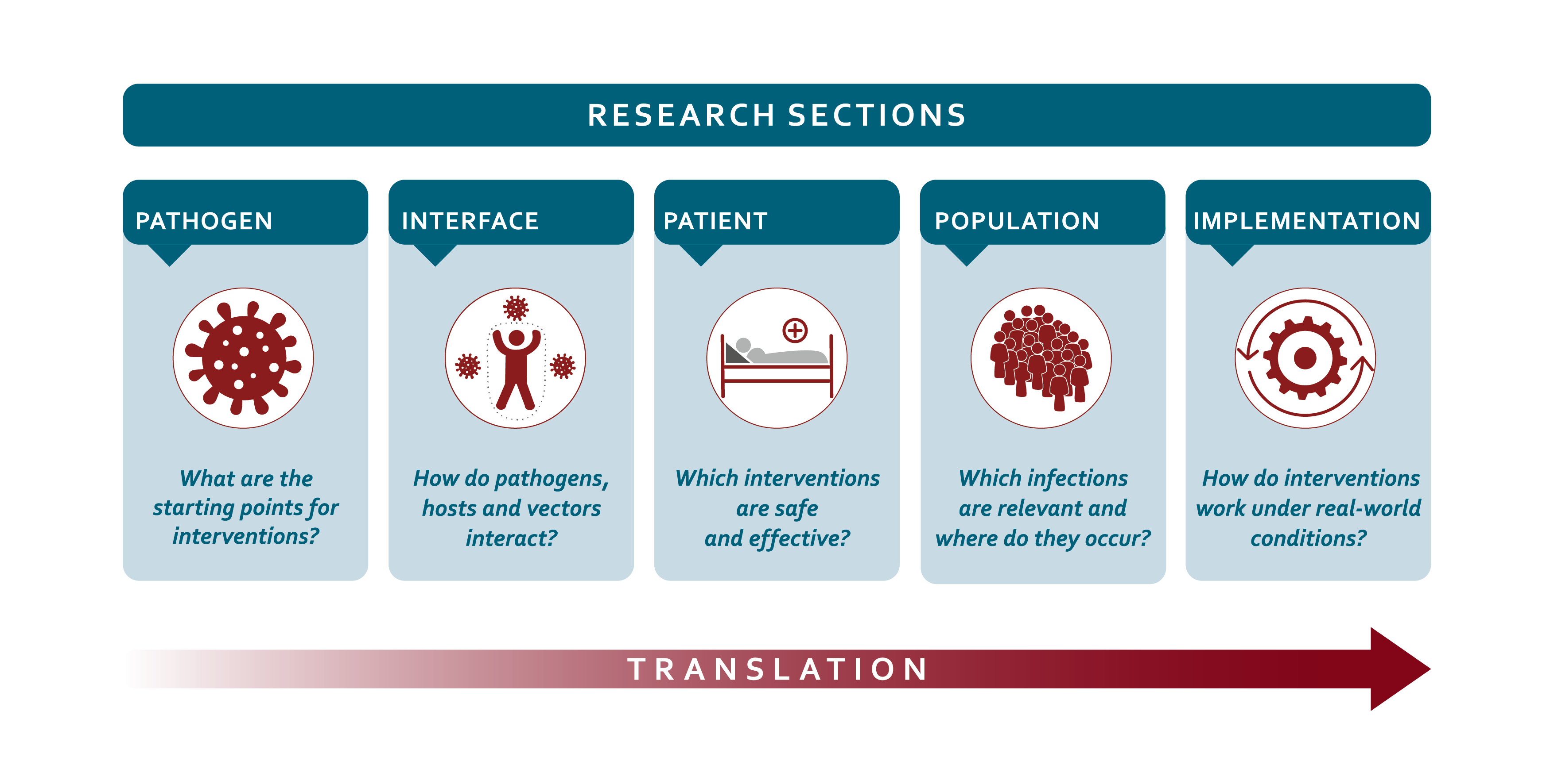Graphic of the research sections at BNITM