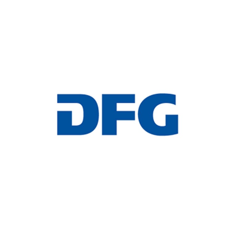 Logo DFG (Deutsche Forschungsgemeinschaft) in blue letters