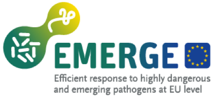 Logo Emerge