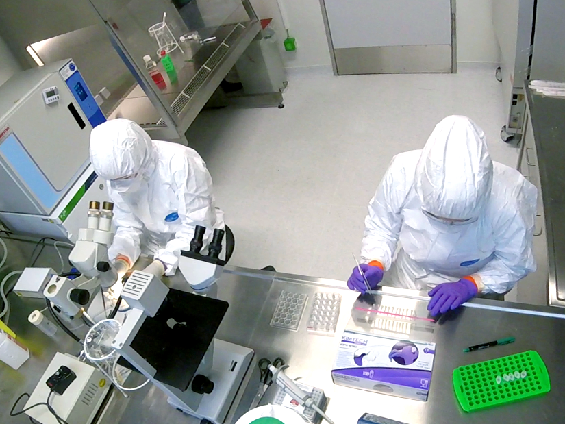 Das Bild zeigt zwei Forscher in Schutzkleidung bei der Laborarbeit.