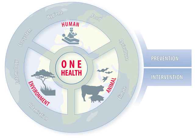 An expanded One Health approach uses multiple data sources to analyse the conditions of infectious diseases and health in resource-poor regions. The blue-grey graphic shows a circle, divided into one area each for humans, animals and the environment. Around it are the terms hygiene, food, agriculture, climate, water, urbanisation, entomology and ecosystem.