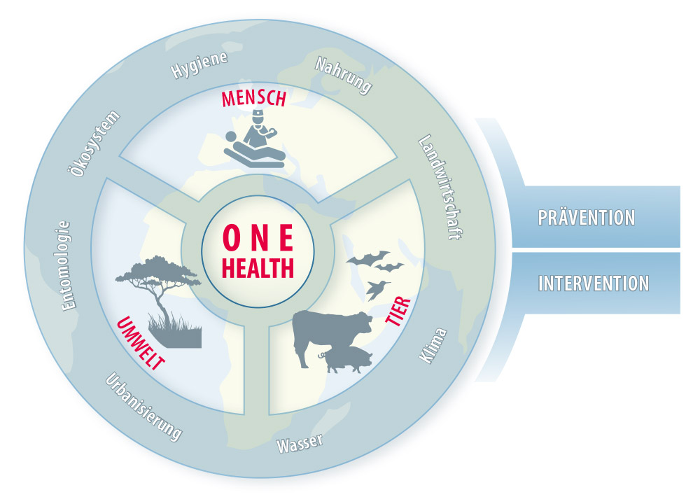 Die blau-gräuliche Grafik zeigt einen Kreis, aufgeteilt in je einen Bereich für Mensch, Tier und Umwelt. Darum herum angeordnet die Begriffe Hygiene, Nahrung, Landwirtschaft, Klima, Wasser, Urbanisierung, Entomologie und Ökosystem.