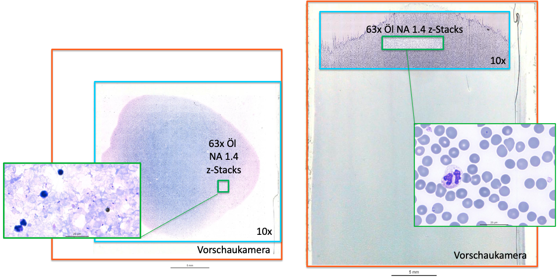 [Translate to English:] Bild zeigt verschiedene Proben unter dem Mikroskop