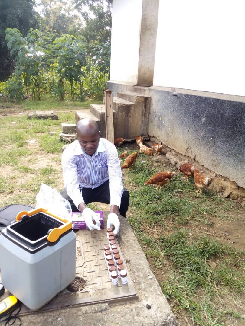 Zu sehen ist ein afrikanischer Forscher der draußen Proben entnimmt.Um ihn herum sieht man Hühner im Gras