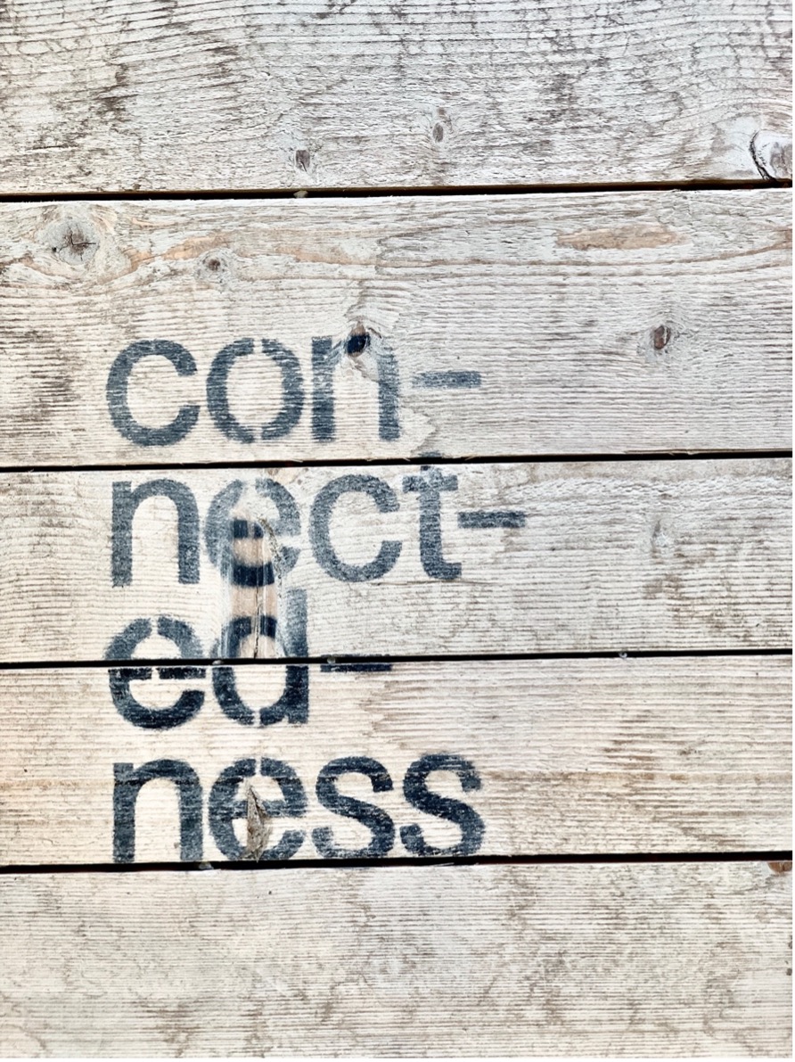 Image from an art installation at La Biennale di Venezia 2021. It shows stacked piles of wood with the word "connectedness" on it.