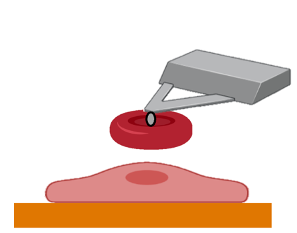 Figure of Atomic force technique