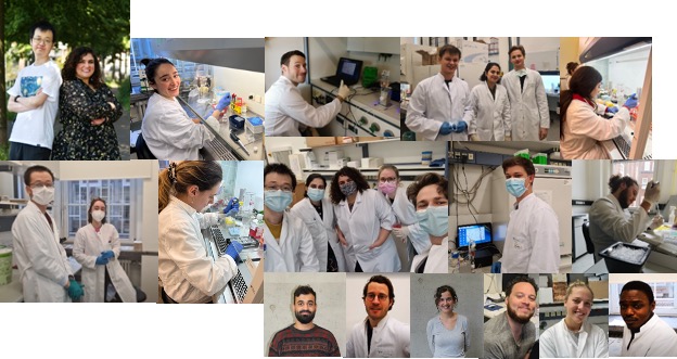 Serveral photos of researchs working and having fun in the laboratory